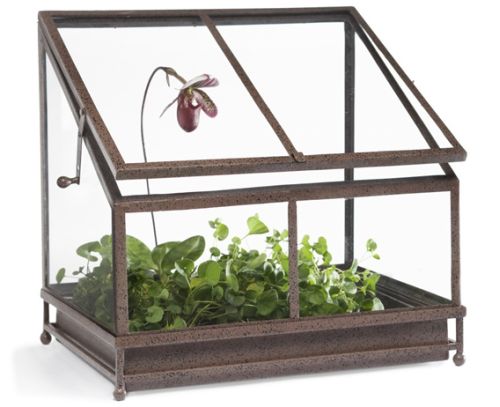 Tabletop Terrarium
