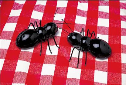 ants salt and pepper shakers