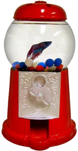 Gumball Machine Aquarium