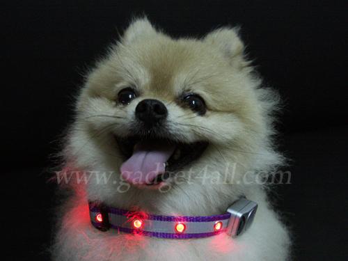 Flashing LED Collar