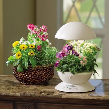 Florist In A Box Set