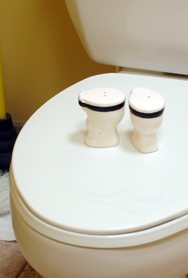 toiletsalt_img