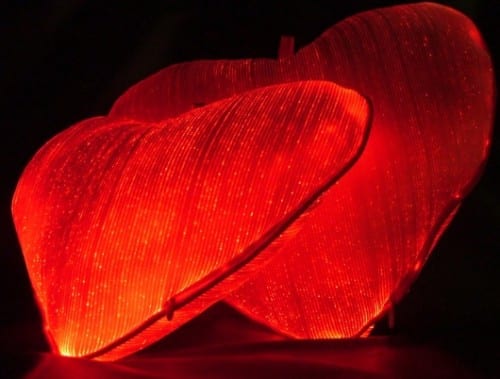 Heart Cushion