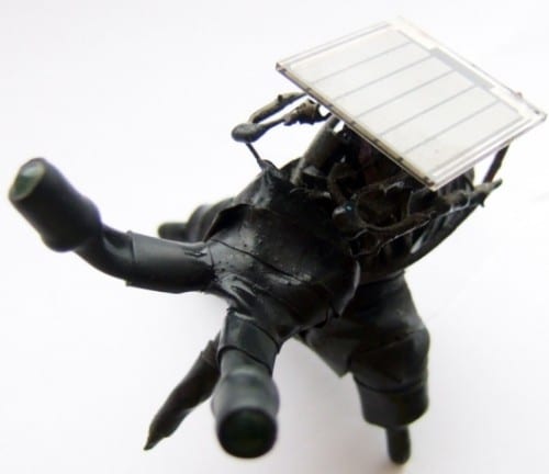 Nigel the solar powered goth bugbut