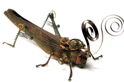 grasshopperp108