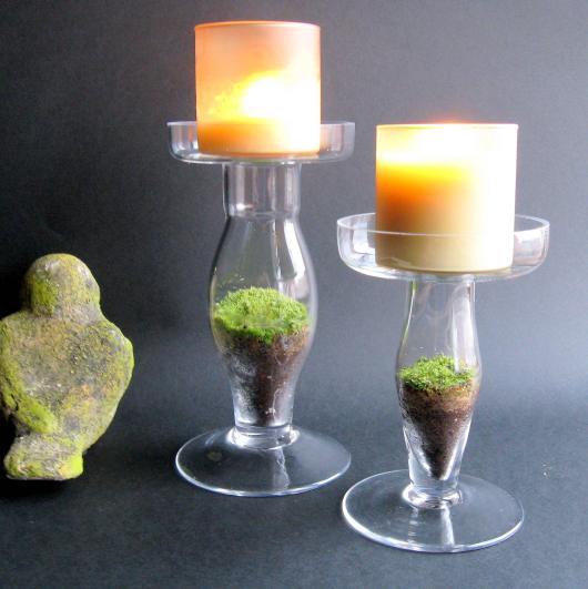 terrarium glass candle sticks 