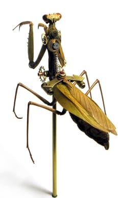 mantisp108