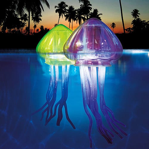 Ocean Art Mini Jellies