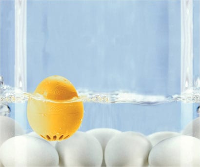 The Beep Egg The Beep Egg