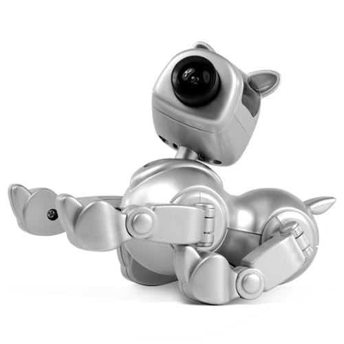 Posable Dog Web Cam Posable Dog Web Cam