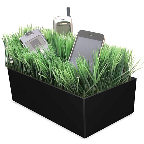 GRASS CHARGING VALET