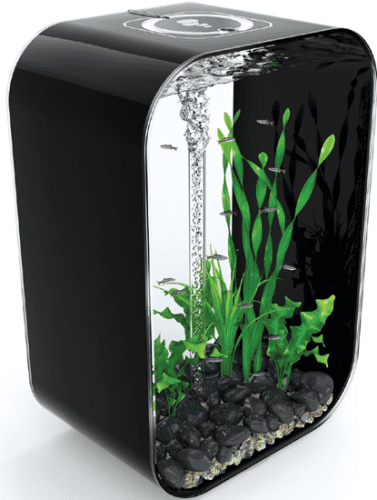 biOrb Life Aquarium
