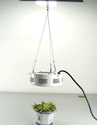 LED Grow Light