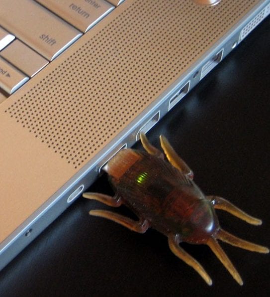 Cockroach USB Flash Drive