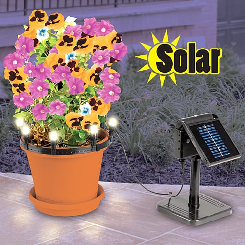 Solar plant "Up Lights" 