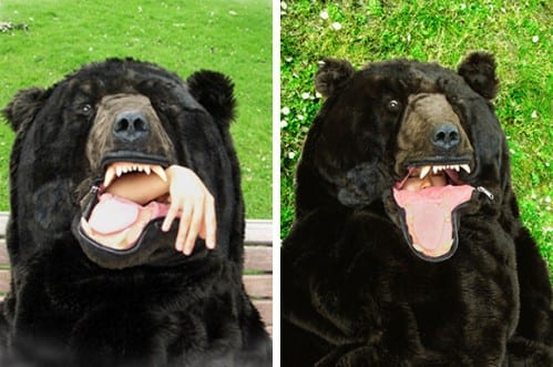 The-Sleeping-Bear