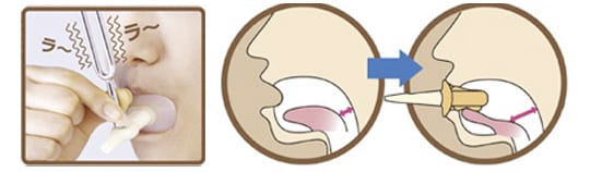 Beauty Voice Trainer