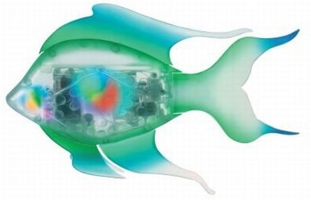 The Kaleidoscopic Pool Cruising Fish