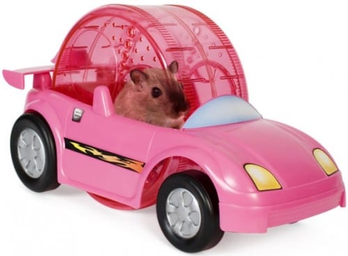 Critter Cruiser and Hamtrack