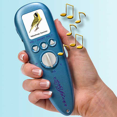 Bird Identiflyer