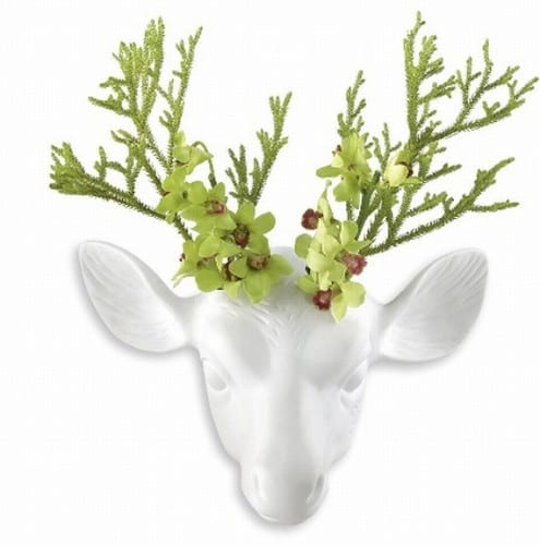 bucky vase