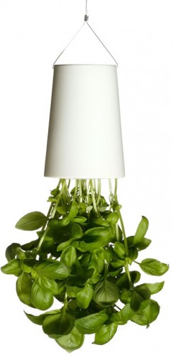 SkyPlanter_high_10