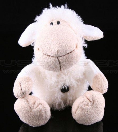 sheepusbcam1