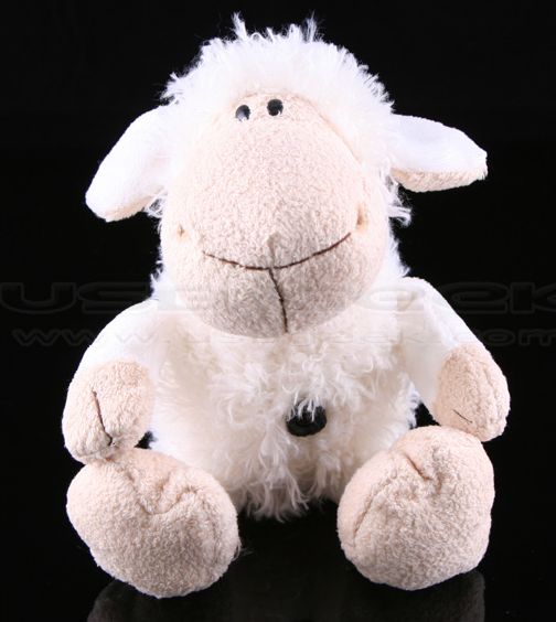 sheepusbcam1