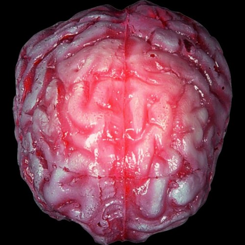 Color Changing Brain and Heart