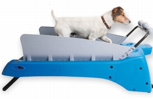 DogTread w/ remote small