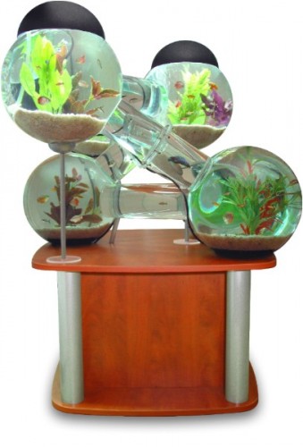 Aqua Stand Side Brown