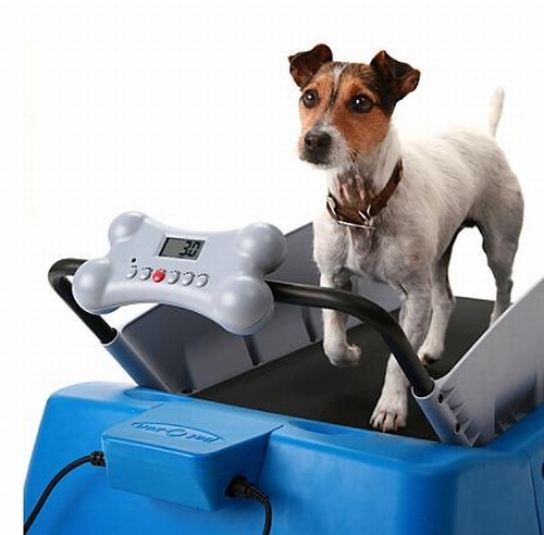 DogTread w/ remote small