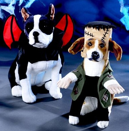 Pet Costume