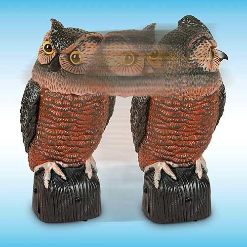 SOUND AND MOTION OWL SOUND AND MOTION OWL