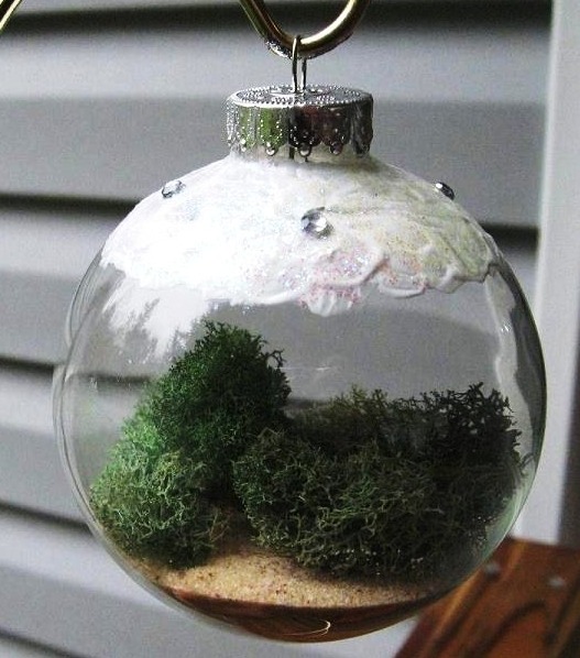 Living Ornament for Your Tree, Living Ornament for Your Tree,