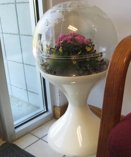 terrariumgabehigh2