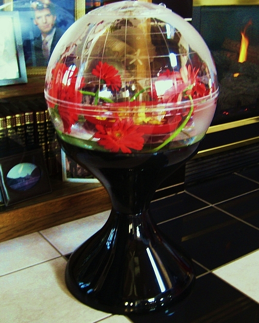terrariumgabehigh4 terrariumgabehigh4