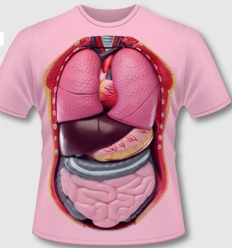 Torso T-Shirt