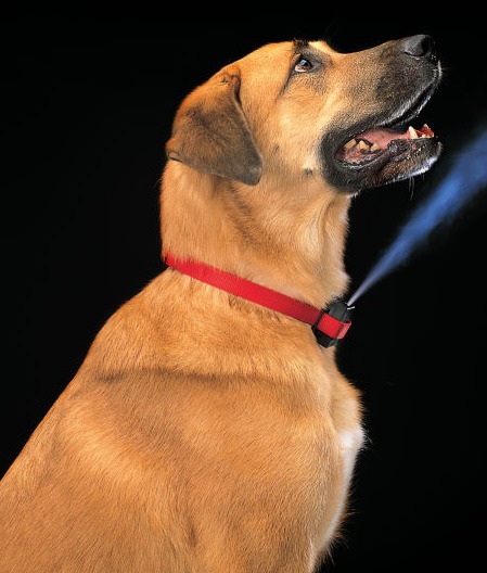 pPETS-3757418dt
