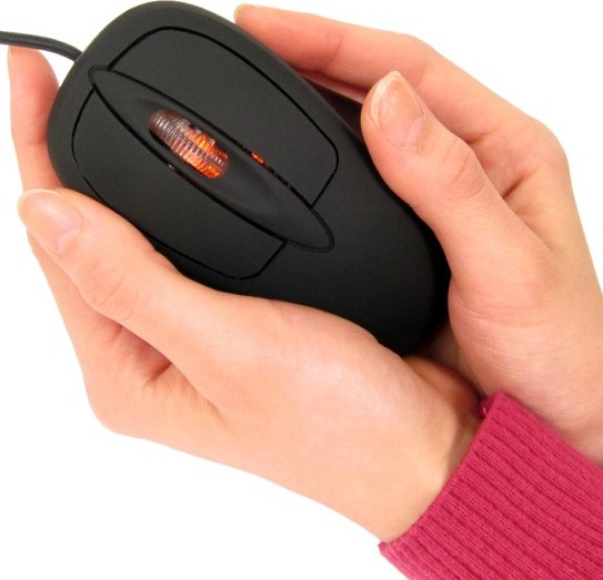 Thanko Warming mouse