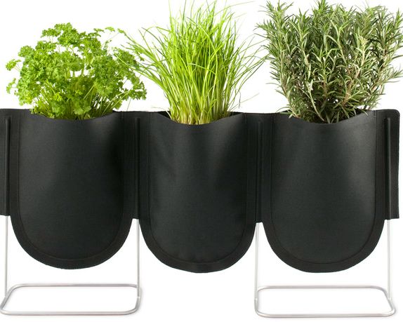Urban garden