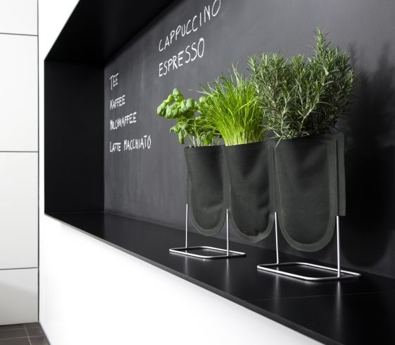 Urban garden