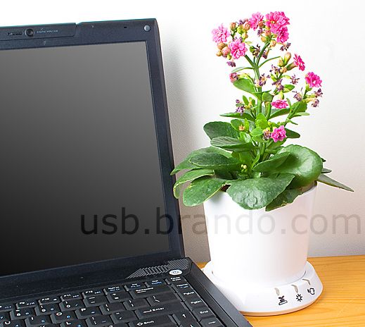 USB Flower Pot