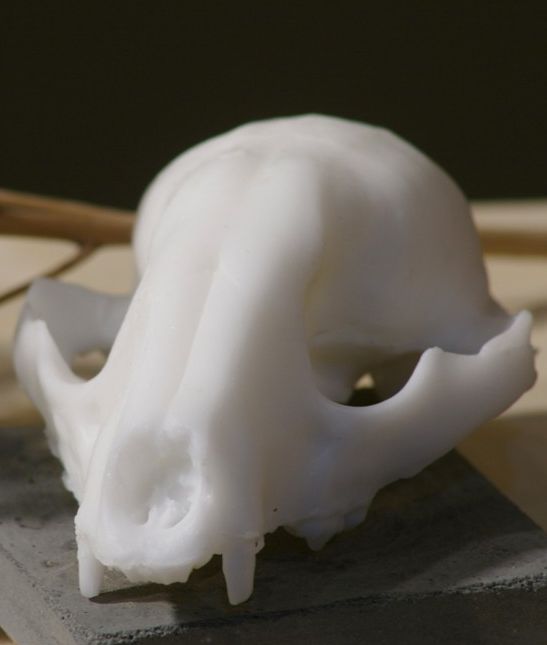 goat milk skull soap