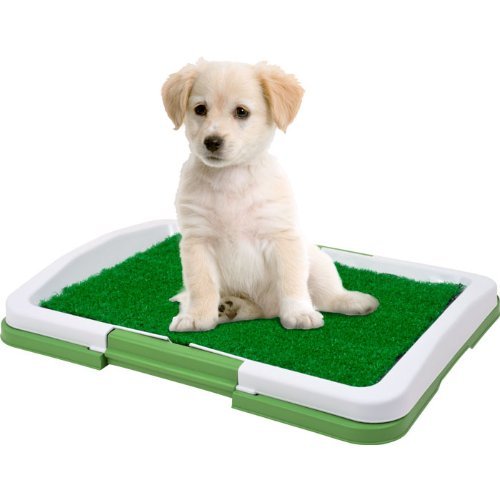 The Indoor Restroom for Pets