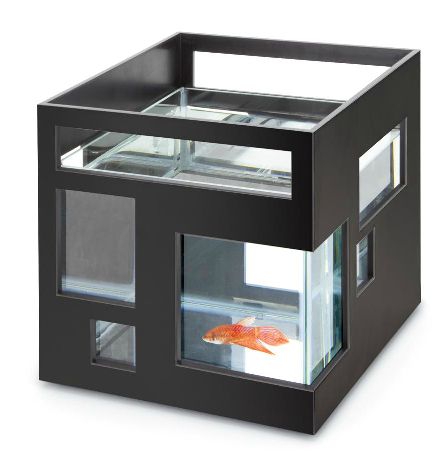 aquatic condo