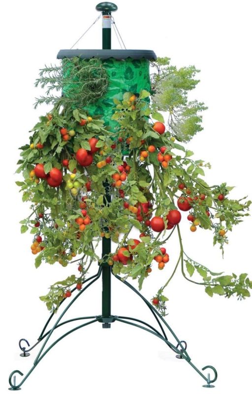 Topsy Turvy Tomato Tree - MAIN Topsy Turvy Tomato Tree