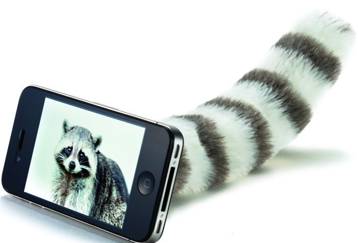 Rocco d'tail Fur Tail Portable Stand