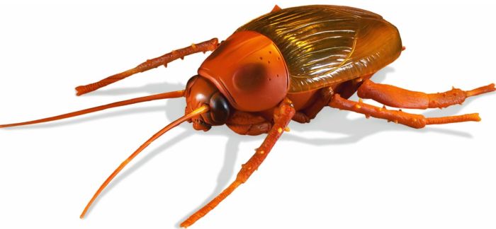 Uncle Milton Radio Control Roach