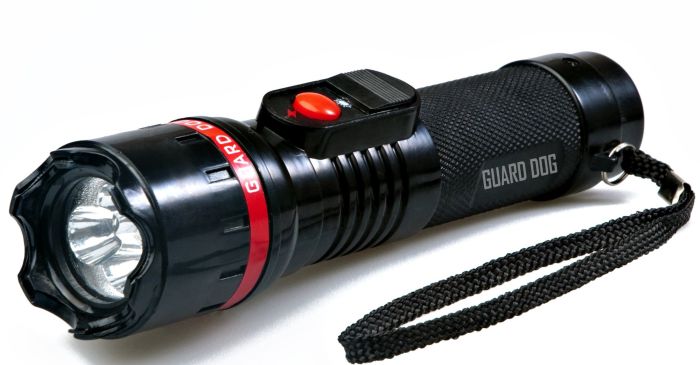 Stun Gun Flashlight with Concealed Inner-Stun Technology Stun Gun Flashlight with Concealed Inner-Stun Technology